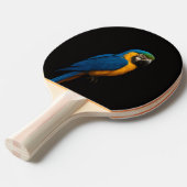 Black 4 Luxe ping pong paddle, Blue Yellow Macaw Tafeltennisbatje (Voorkant Gekanteld)