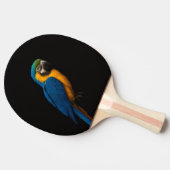 Black 4 Luxe ping pong paddle, Blue Yellow Macaw Tafeltennisbatje (Zijkant)