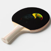 Black 4 Luxe ping pong paddle, Keel Billed Tucan Tafeltennisbatje (Voorkant Gekanteld)
