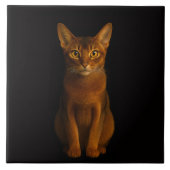 Black 4 Luxe Tile with Abyssinian Beauty Tegeltje (Voorkant)