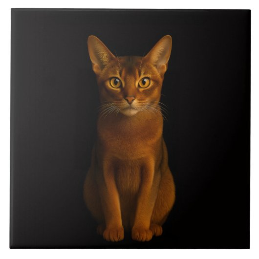 Black 4 Luxe Tile with Abyssinian Beauty Tegeltje (Voorkant)