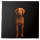 Black 4 Luxe Tile with Agile Vizsla Dog Tegeltje (Voorkant)