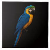 Black 4 Luxe Tile with Blue Yellow Macaw Tegeltje (Voorkant)