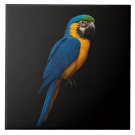 Black 4 Luxe Tile with Blue Yellow Macaw Tegeltje