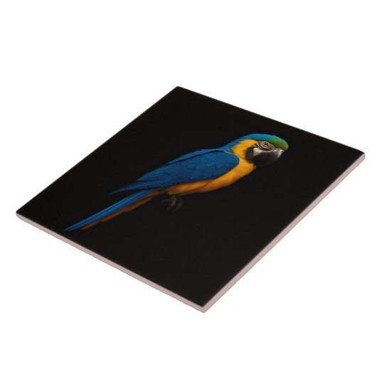 Black 4 Luxe Tile with Blue Yellow Macaw Tegeltje (Zijkant)