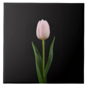 Black 4 Luxe Tile with Blush Pink Tulip Tegeltje (Voorkant)