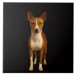 Black 4 Luxe Tile with Classy Basenji Dog Tegeltje