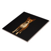 Black 4 Luxe Tile with Classy Basenji Dog Tegeltje (Zijkant)