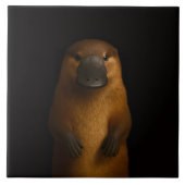 Black 4 Luxe Tile with Elegant Platypus Tegeltje (Voorkant)
