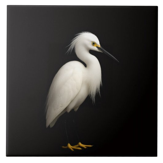 Black 4 Luxe Tile with Elegant Snowy Egret Tegeltje (Voorkant)