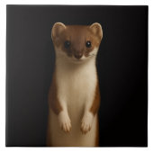 Black 4 Luxe Tile with Elegant Weasel Tegeltje (Voorkant)