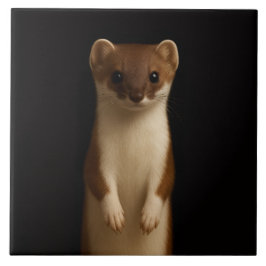 Black 4 Luxe Tile with Elegant Weasel Tegeltje