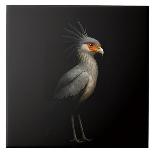 Black 4 Luxe Tile with Exotic Secretarybird Tegeltje (Voorkant)