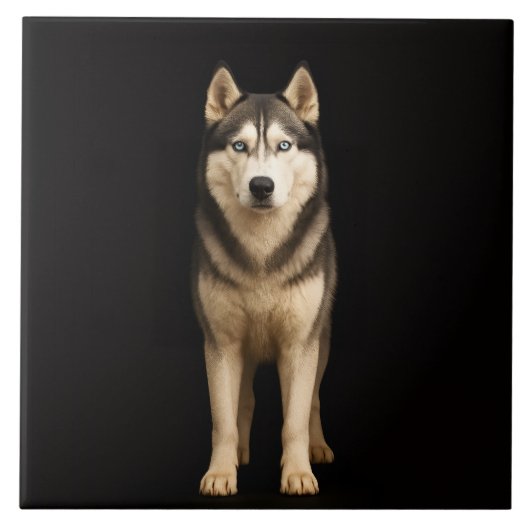 Black 4 Luxe Tile with Icy Elite Husky Tegeltje (Voorkant)