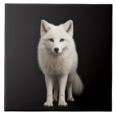Black 4 Luxe Tile with Ivory Arctic Fox Tegeltje (Voorkant)