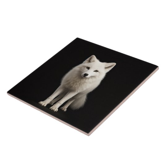 Black 4 Luxe Tile with Ivory Arctic Fox Tegeltje (Zijkant)