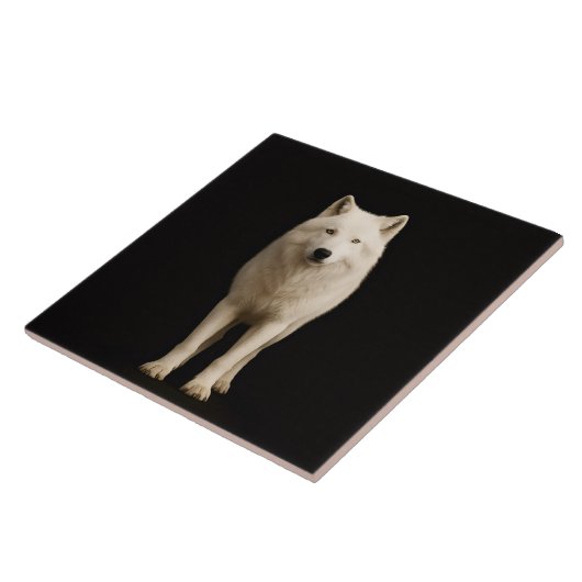 Black 4 Luxe Tile with Ivory Arctic Wolf Tegeltje (Zijkant)