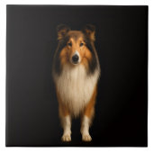 Black 4 Luxe Tile with Loyal Collie Dog Tegeltje (Voorkant)