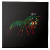 Black 4 Luxe Tile with Mantis Shrimp Tegeltje (Voorkant)