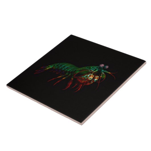 Black 4 Luxe Tile with Mantis Shrimp Tegeltje (Zijkant)