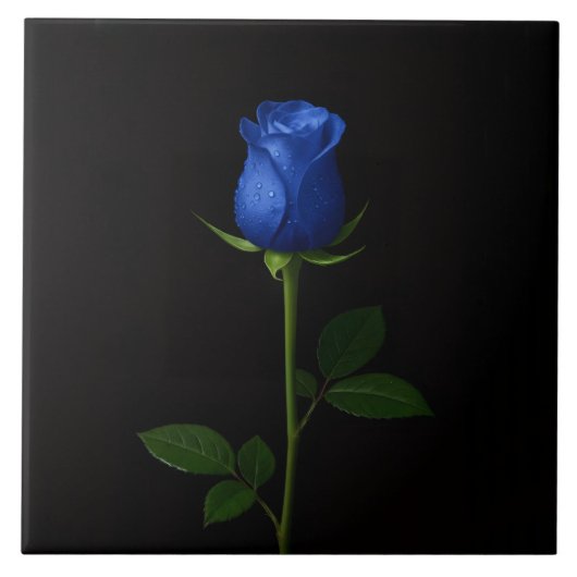 Black 4 Luxe Tile with Midnight Blue Rose Tegeltje (Voorkant)
