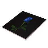 Black 4 Luxe Tile with Midnight Blue Rose Tegeltje (Zijkant)