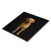 Black 4 Luxe Tile with Minimalist Labrador Tegeltje (Zijkant)