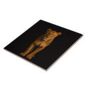 Black 4 Luxe Tile with Noble Lioness Tegeltje (Zijkant)