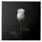 Black 4 Luxe Tile with Pure White Rose Tegeltje (Voorkant)