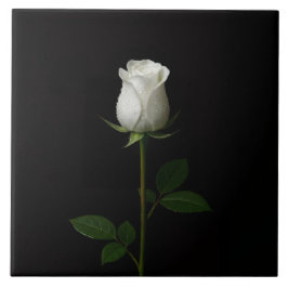 Black 4 Luxe Tile with Pure White Rose Tegeltje