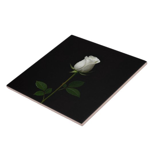 Black 4 Luxe Tile with Pure White Rose Tegeltje (Zijkant)