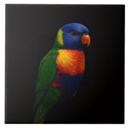 Black 4 Luxe Tile with Rainbow Lorikeet Parrot Tegeltje