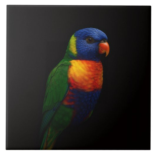 Black 4 Luxe Tile with Rainbow Lorikeet Parrot Tegeltje (Voorkant)