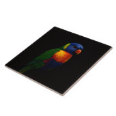 Black 4 Luxe Tile with Rainbow Lorikeet Parrot Tegeltje (Zijkant)