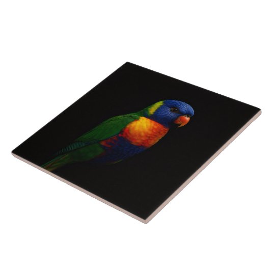 Black 4 Luxe Tile with Rainbow Lorikeet Parrot Tegeltje (Zijkant)