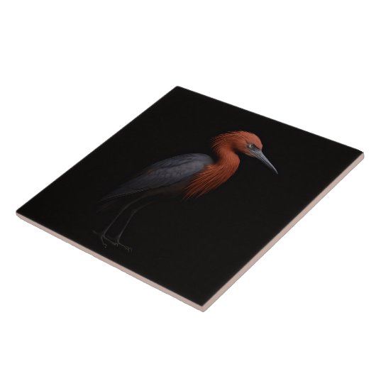 Black 4 Luxe Tile with Reddish Egret Tegeltje (Zijkant)