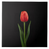 Black 4 Luxe Tile with Ruby Red Tulip Tegeltje (Voorkant)