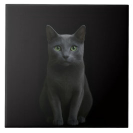 Black 4 Luxe Tile with Russian Blue Cat Tegeltje