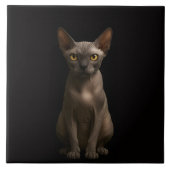 Black 4 Luxe Tile with Sphynx Cat Tegeltje (Voorkant)