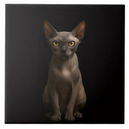 Black 4 Luxe Tile with Sphynx Cat Tegeltje