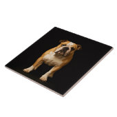 Black 4 Luxe Tile with Stamina Bulldog Tegeltje (Zijkant)