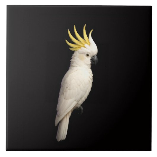 Black 4 Luxe Tile with Sulphur Crested Cockatoo Tegeltje (Voorkant)
