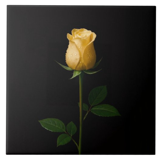 Black 4 Luxe Tile with Sunlit Yellow Rose Tegeltje (Voorkant)