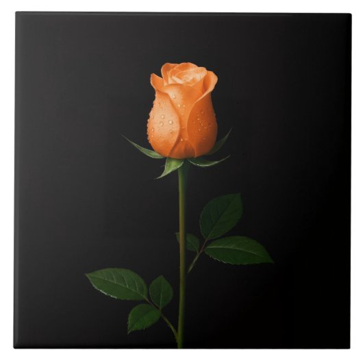 Black 4 Luxe Tile with Sunset Orange Rose Tegeltje (Voorkant)