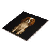 Black 4 Luxe Tile with Sweet Cavalier Spaniel Tegeltje (Zijkant)