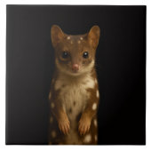 Black 4 Luxe Tile with Sweet Quoll Tegeltje (Voorkant)