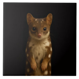Black 4 Luxe Tile with Sweet Quoll Tegeltje