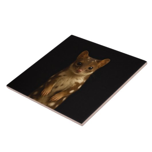 Black 4 Luxe Tile with Sweet Quoll Tegeltje (Zijkant)