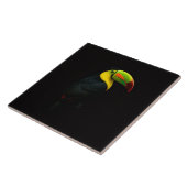 Black 4 Luxe Tile with tropical Keel Billed Tucan Tegeltje (Zijkant)