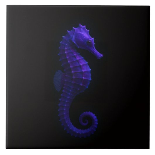 Black 4 Luxe Tile with Violet Blue Seahorse Tegeltje (Voorkant)